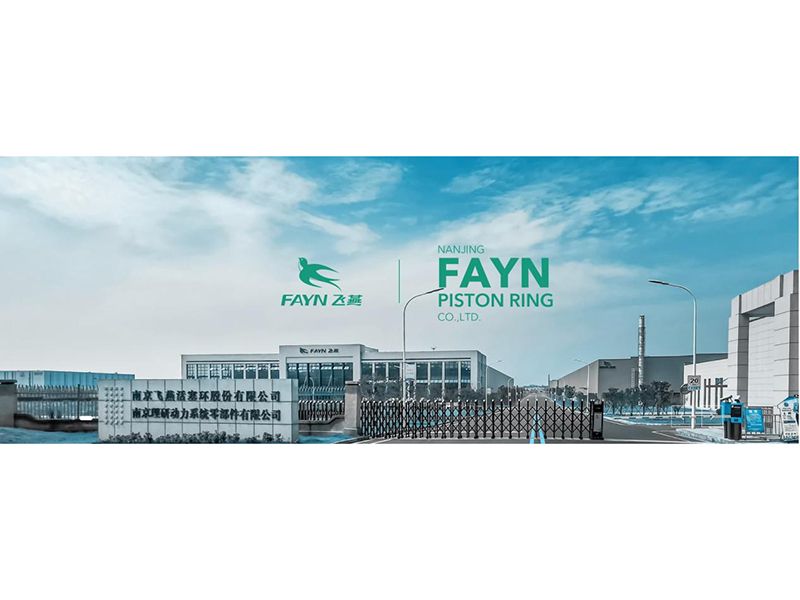 南京飛燕活塞環(huán)股份有限公司